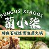 菌小柒石板烧野生菌火锅