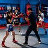 成都龙泉宏武格斗