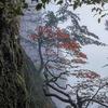 武宁县旅游产业有限公司（神雾山）
