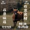 笨笨鸡窝排档·鲜鸡煲·牛肉海鲜火锅