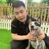 深圳宠佳乐犬舍狗场宠物基地