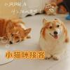 柯基很忙主题狗咖