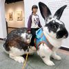 林记肠粉·鸡汁面·龙大