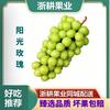 浙耕果业