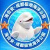 海合安成都极地海洋公园