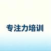 开心果专注力.