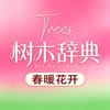 树木辞典生日蛋糕分享官