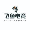 阳江飞鱼电竞