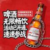 歌mi-ktv(耀市店)宠粉号
