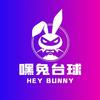 嘿兔台球·官方号