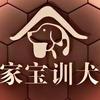家宝训犬基地（成都总校）专用号
