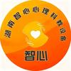 湖南智心心理科教设备