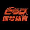 逐梦体育（品牌号）
