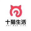 十猫生活