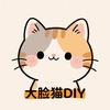 北京大脸猫DIY