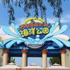 西安华夏文旅海洋公园-官方号