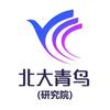 北大青鸟研究院（华南分院）