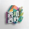 西植西野运营号