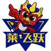 莱飞跃体育官方号