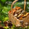 云仙菌.云南野生菌｜深圳沙井店官方号