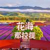 花海那拉提