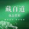 藏百道·体态塑形(球场路步行街店)专用号