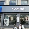 HUAWEI崛远通讯(城东路店)专用号