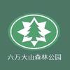 广西六万大山森林公园