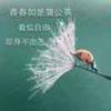 ♥蒲公英的微笑♥
