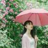 人生如梦
