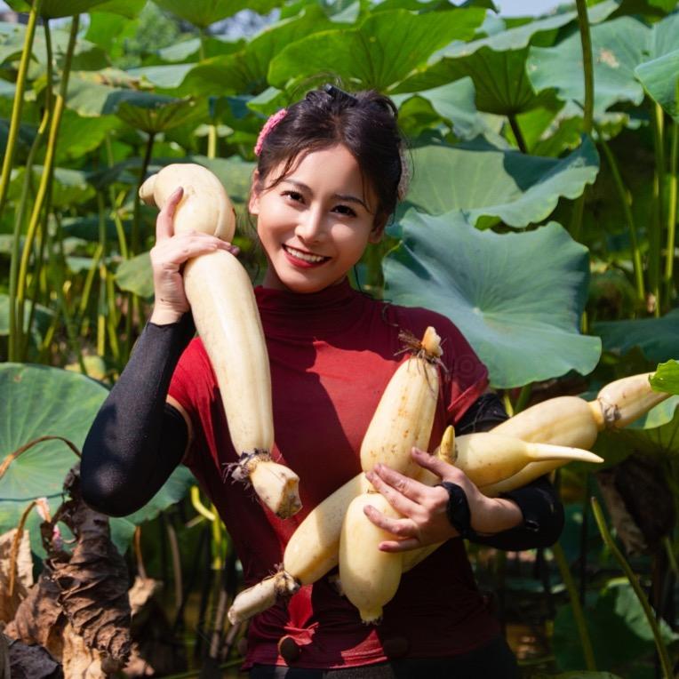 张张子