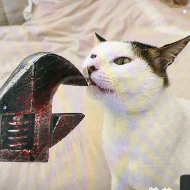 清灵儿
