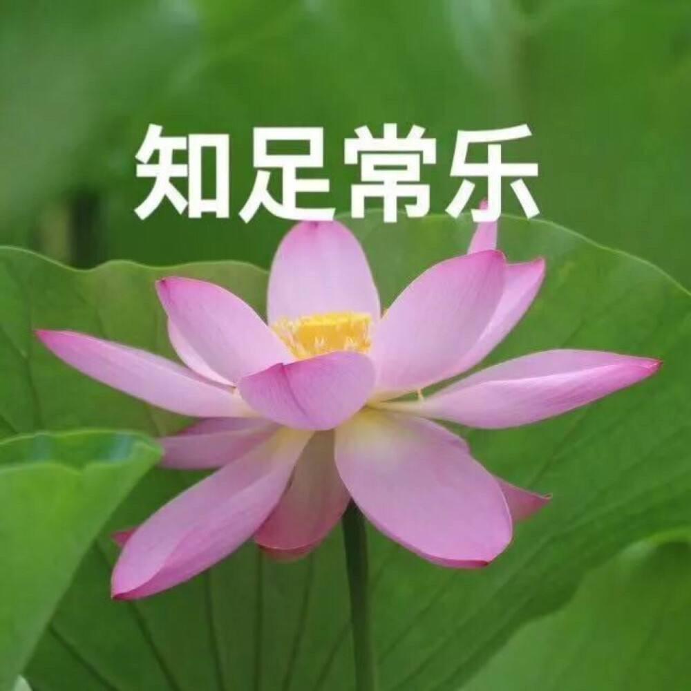 繁花mifang