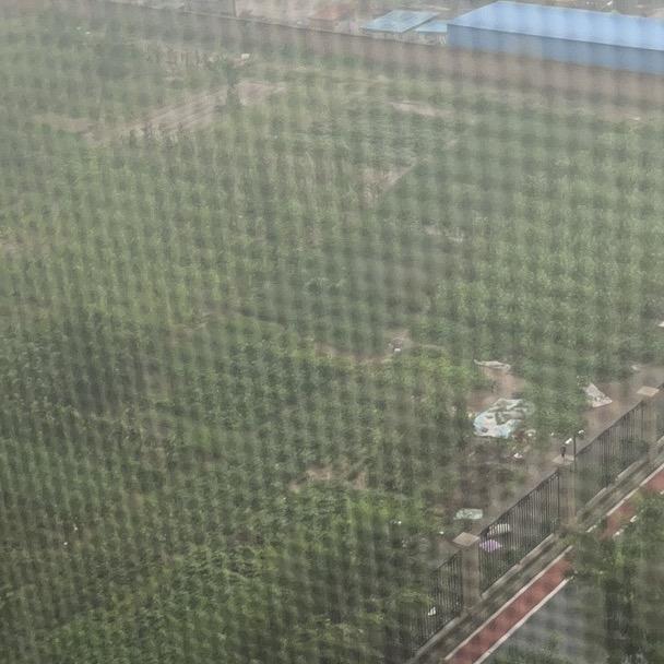 出现又离开_