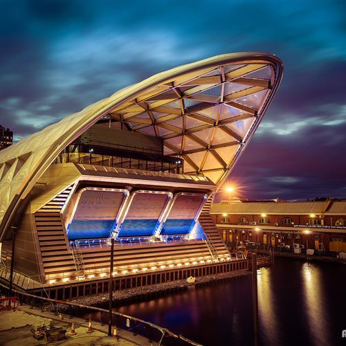 小军电动（赛）