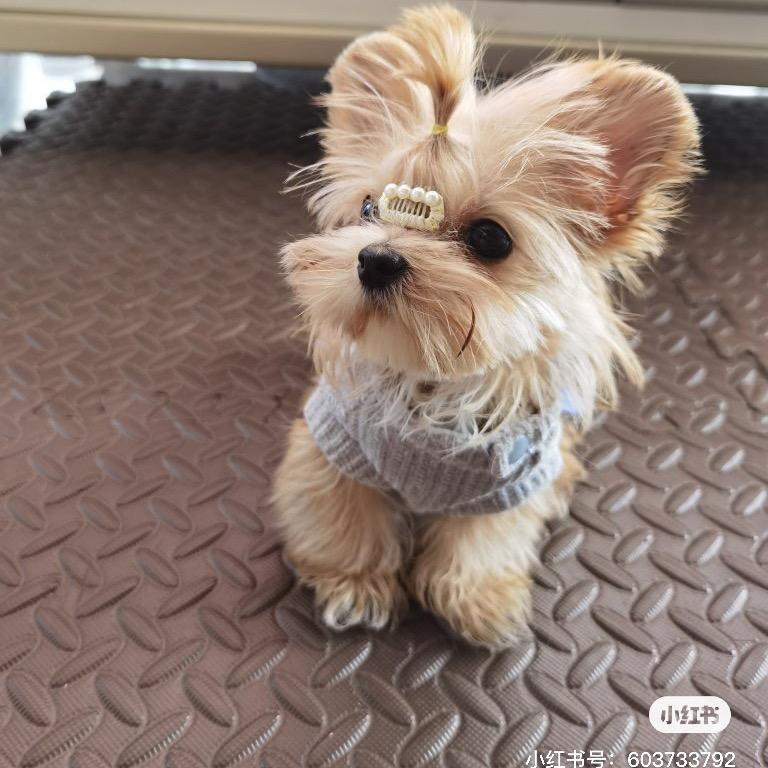 海口美兰区悦霆宣百货店（个体工商户）