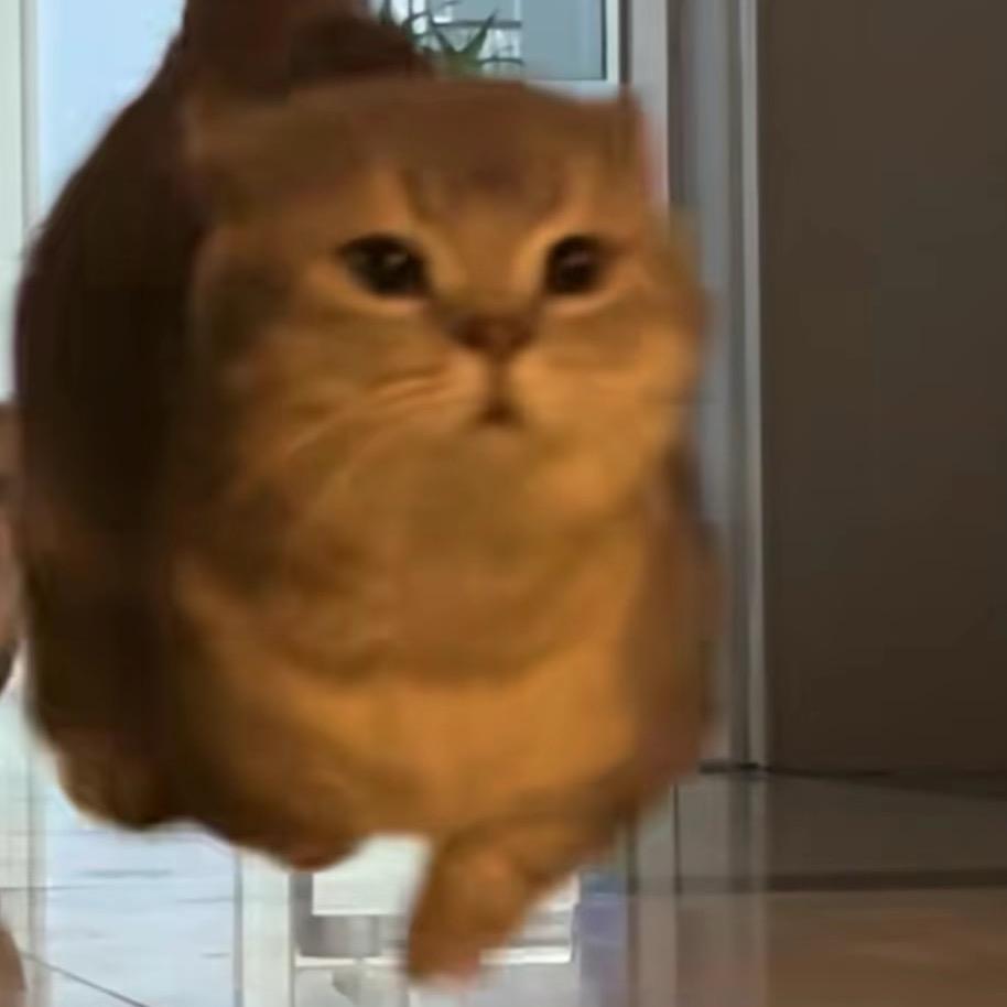 Vi