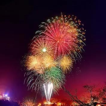 东旭💥