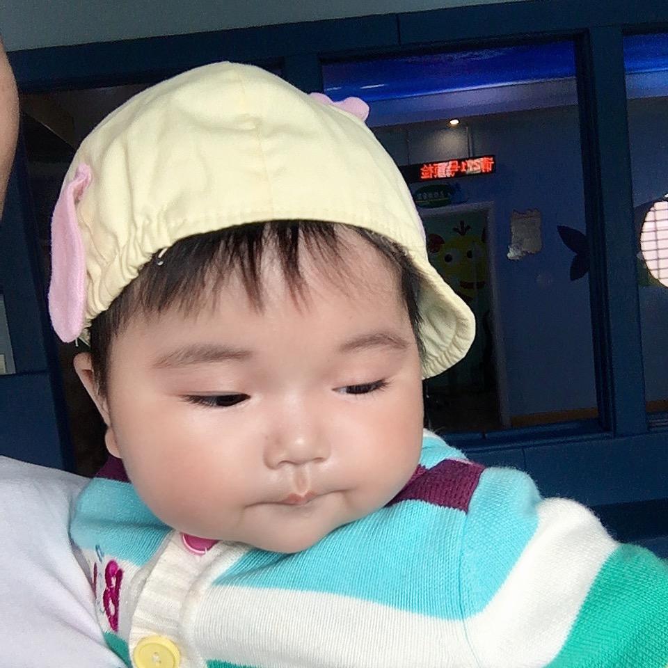 眉清目秀