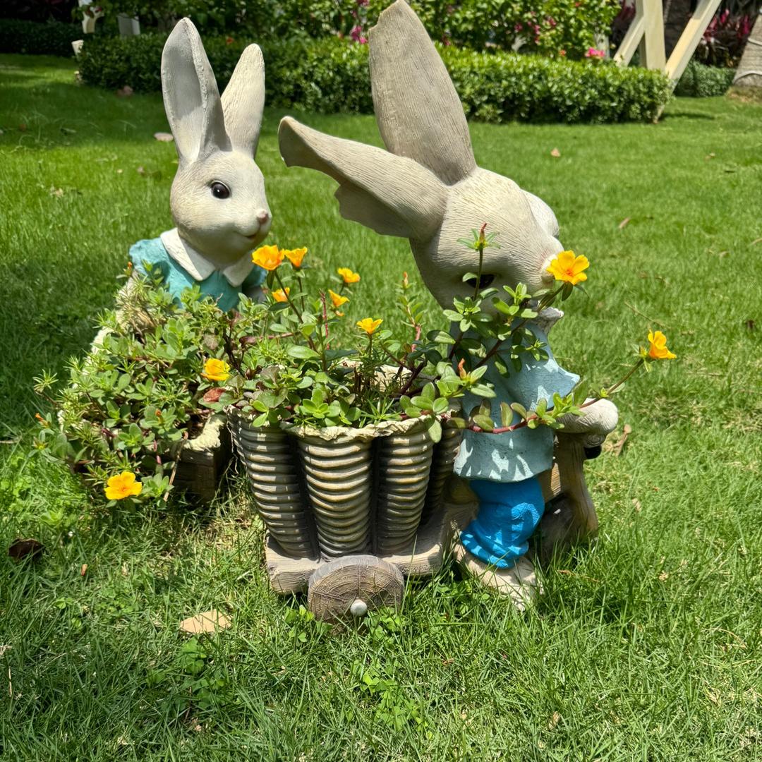 拽妃娘娘（星星⭐知识分享）