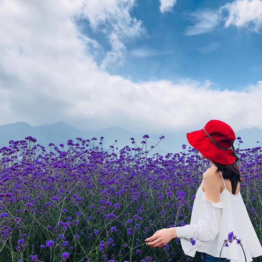 甄选旅游推荐官