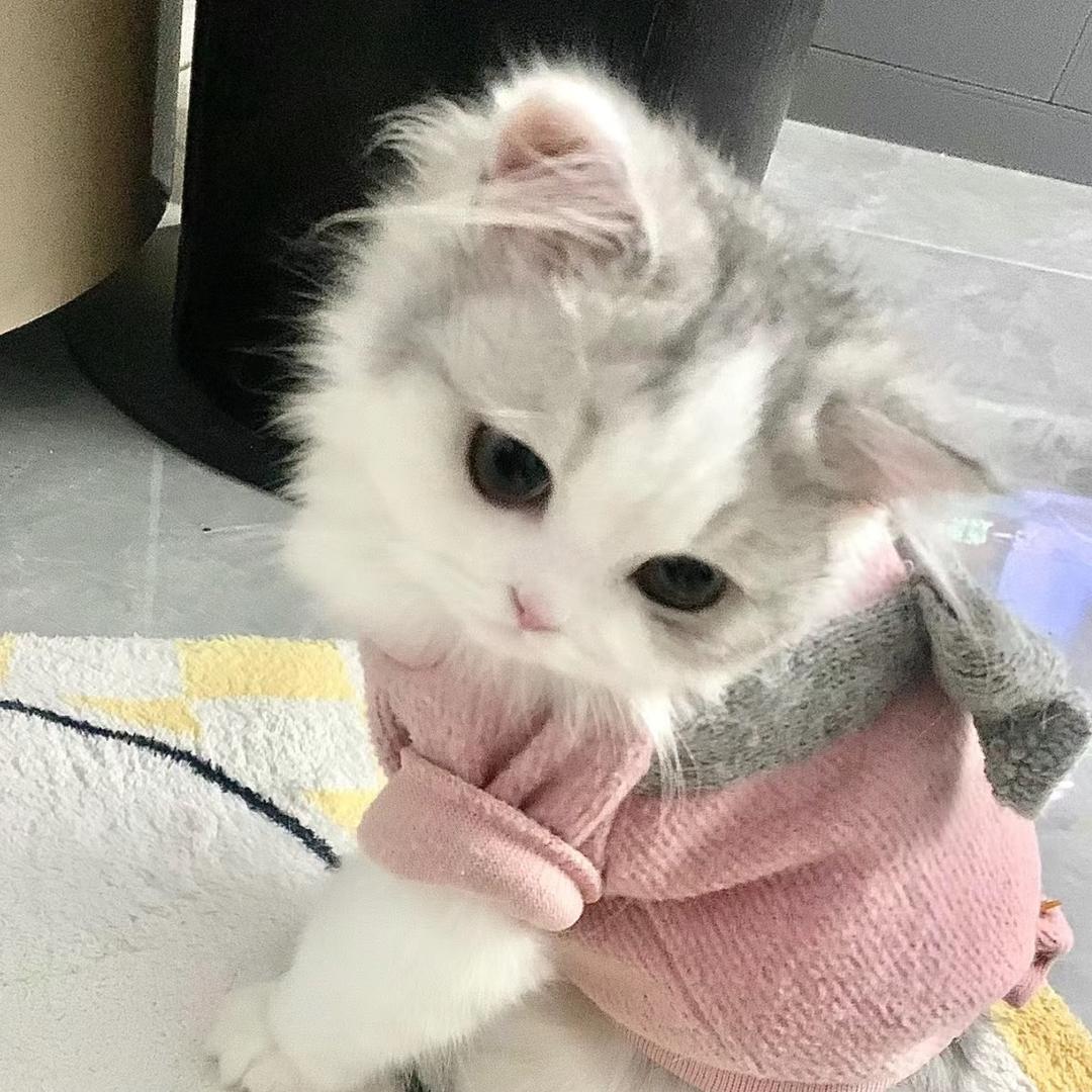 -。.