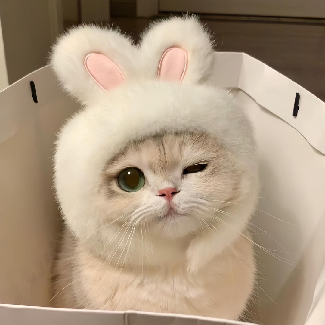 可乐.