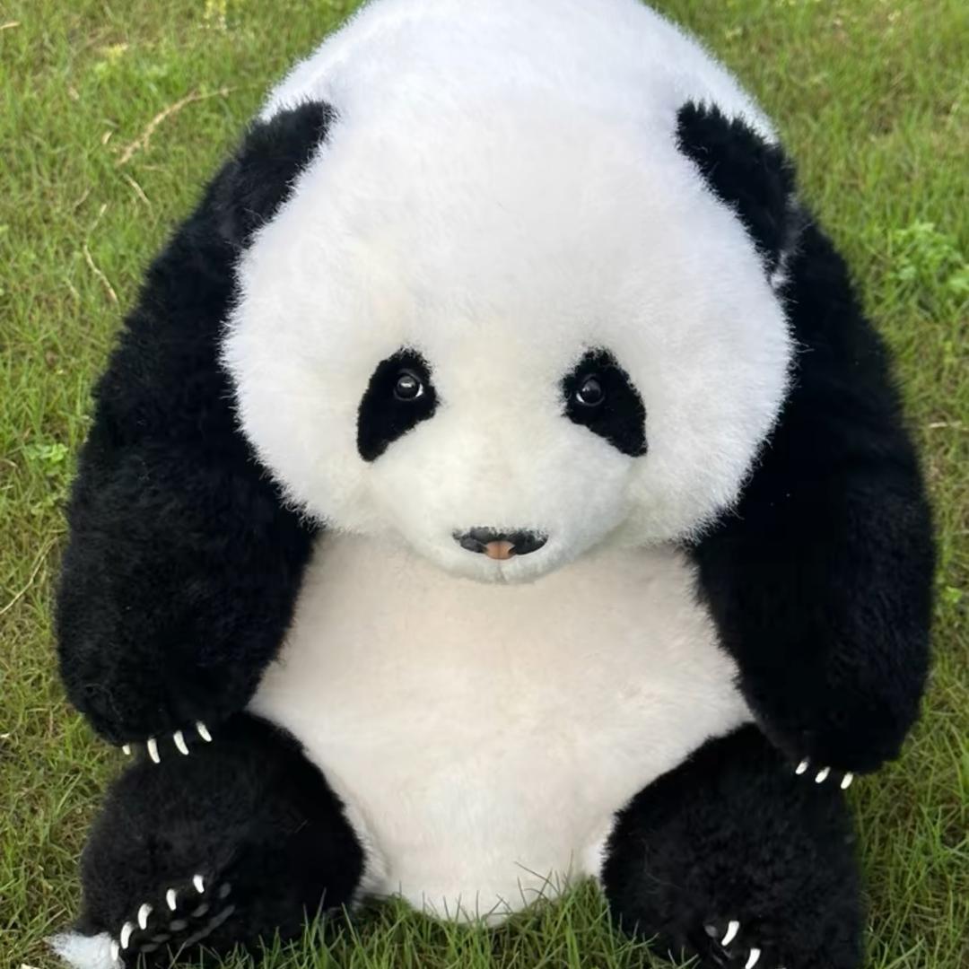 蛇頭蛇頭蛇頭