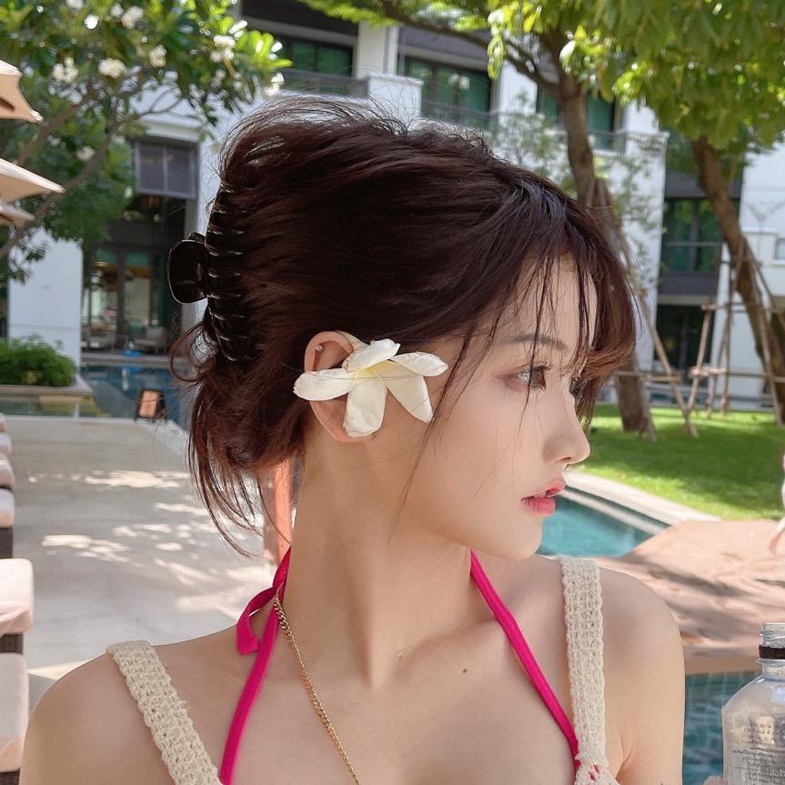 花花酱qaq