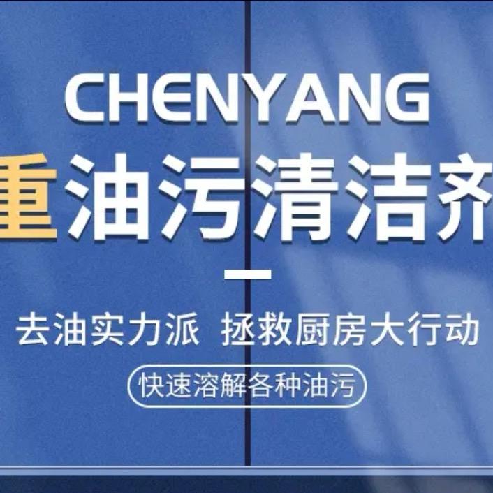 文言洗护清洁专营店