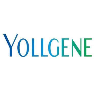 YOLLGENE母婴海外旗舰店