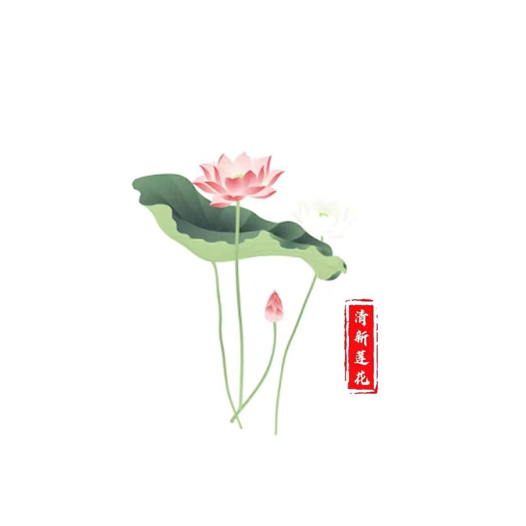 清新莲花