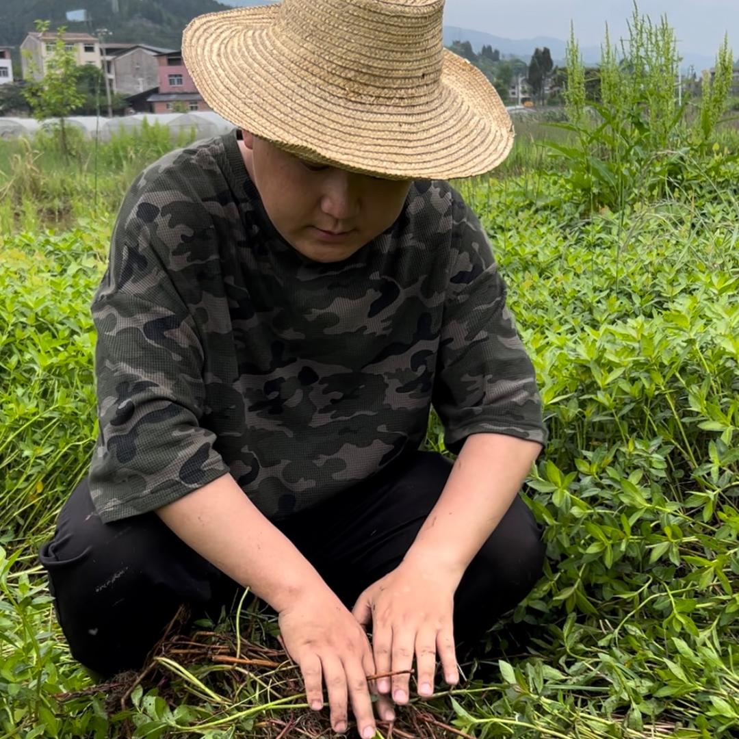 大兵爱种植