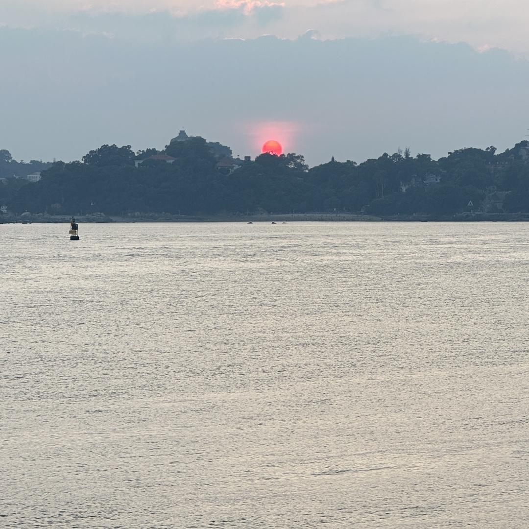 向阳而生（感恩）